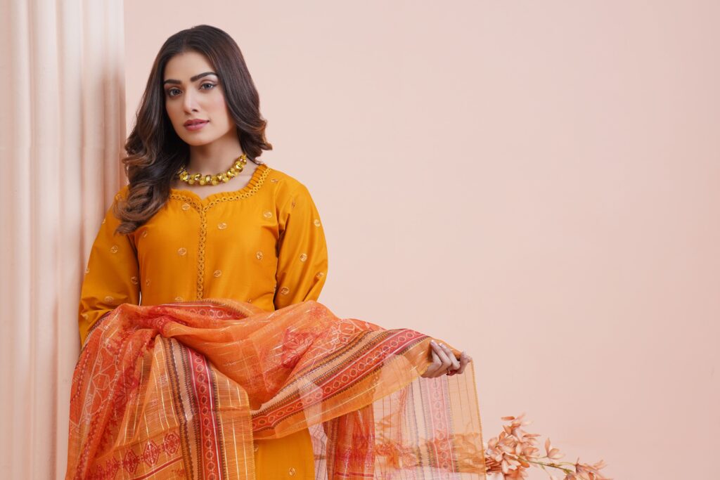 Elegant portrait of a woman in traditional Pakistani attire, showcasing vibrant colors and cultural style.